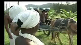 Kui Negras da senzala